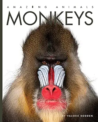 Monkeys