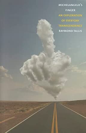 Michelangelos Finger An Exploration Of Everyday Transcendence