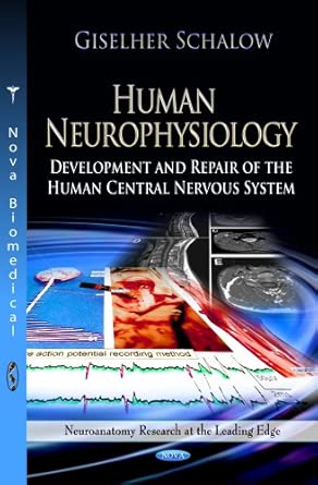 Human Neurophysiology Development And Repair Of The Human Central Nervous System