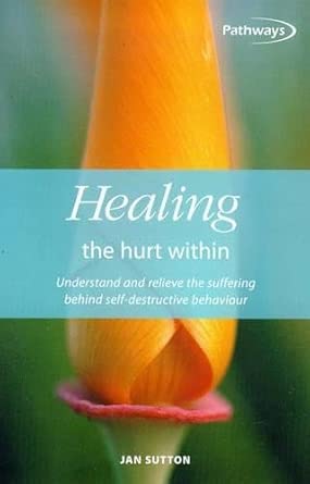 Healing The Hurt Within Understand And Relieve The Suffering Behind Self Destructive Behaviour