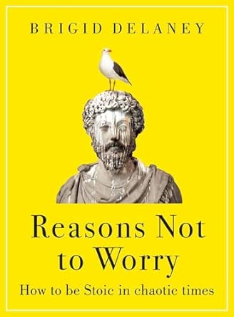 Reasons Not To Worry How To Be Stoic In Chaotic Times