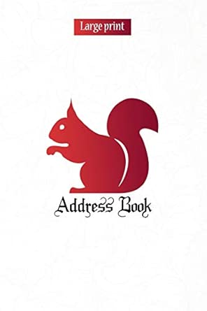 Large Print Address Book Large Print Birthdays And Address Book For Contacts Addresses Phone Numbers Email Alphabetical Organizer Address Book Personalized For Kids Kids Women And Men