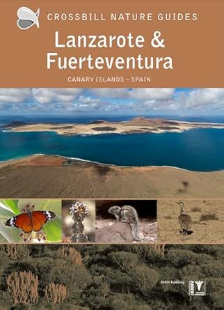 Lanzarote And Fuerteventura Spain 39