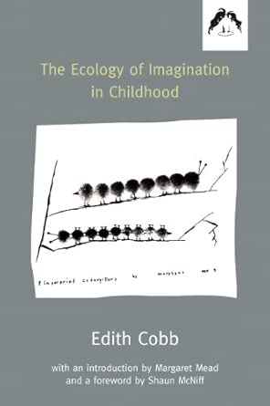 The Ecology Of Imagination In Childhood