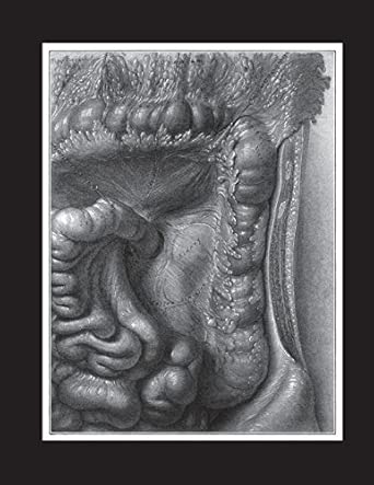 left kidney in situ notebook 8 1/2x11 one subject college ruled lined paper 70 sheets/140 pages in white