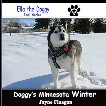doggys minnesota winter 1st edition jayne flaagan 1944410112, 978-1944410117