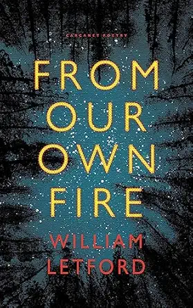from our own fire 1st edition william letford 1800173431, 978-1800173439