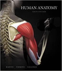 human anatomy 6th edition frederic martini, michael j timmons, robert b tallitsch, william c ober, claire w