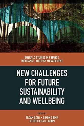new challenges for future sustainability and wellbeing 1st edition ercan Özen, simon grima, rebecca dalli
