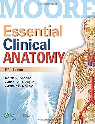 moore essential clinical anatomy 5th edition keith l. moore, anne m. r. agur, arthur f. dalley 1451187491,