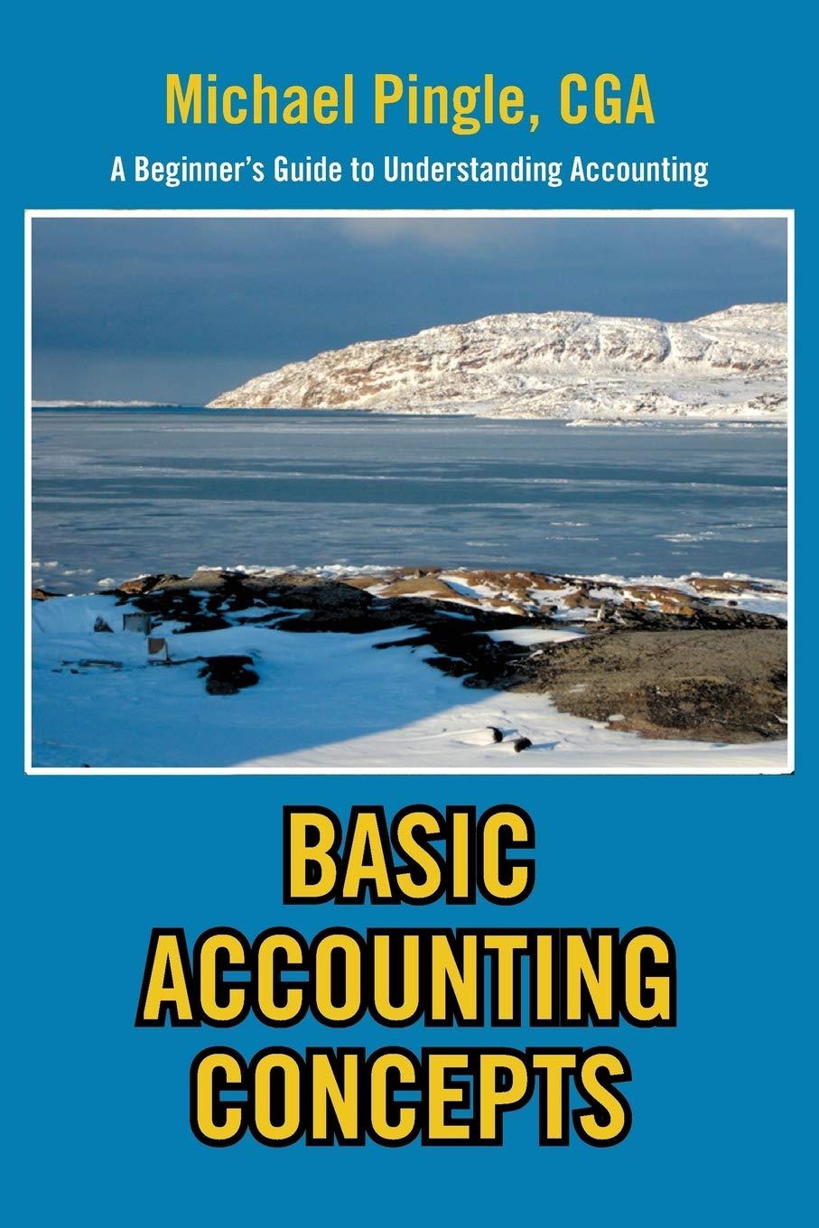 basic accounting concepts a beginners guide to understanding accounting 1st edition michael cga pingle