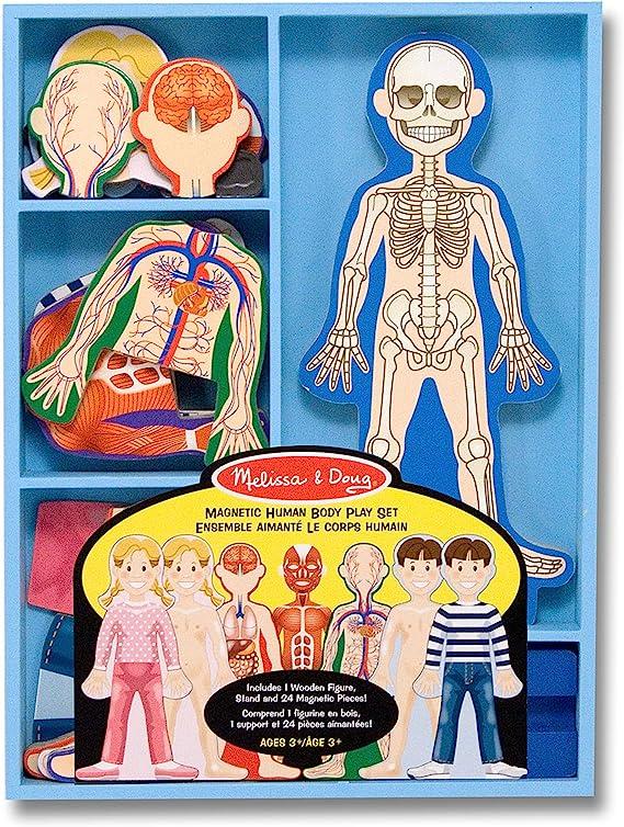 melissa & doug magnetic human body anatomy play set  melissa & doug b001svx6ni