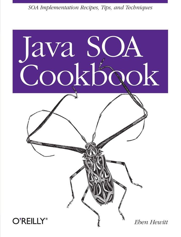 java soa cookbook 1st edition eben hewitt 0596520727, 978-0596520724
