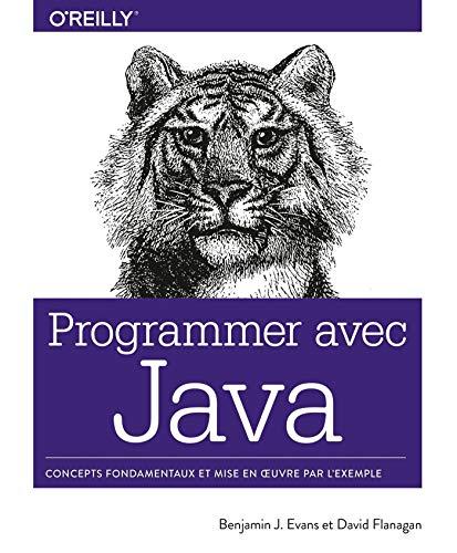programmer avec java 1st edition ben evans , david flanagan 2412045127, 978-2412045121