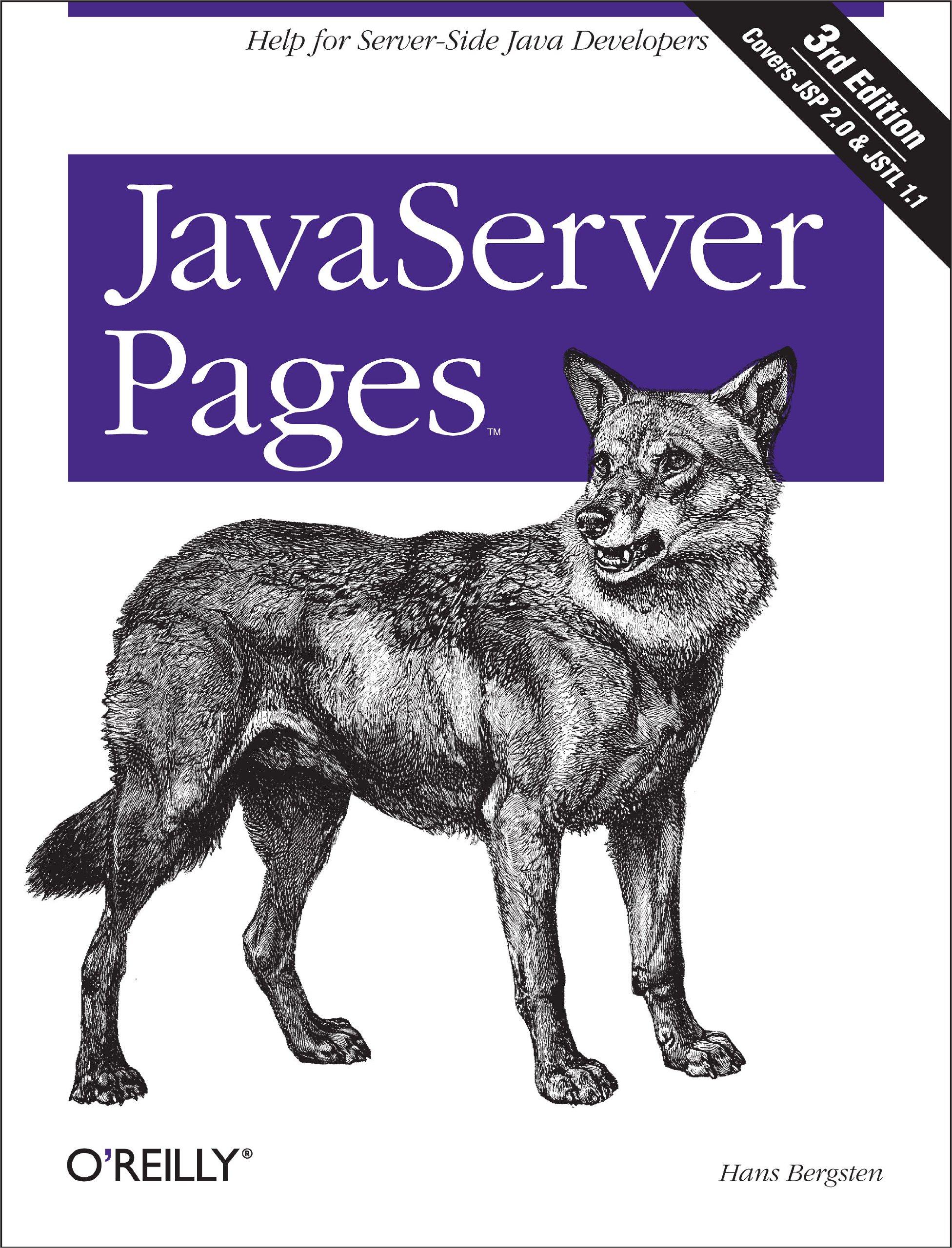 javaserver pages 3rd edition hans bergsten 0596005636, 978-0596005634