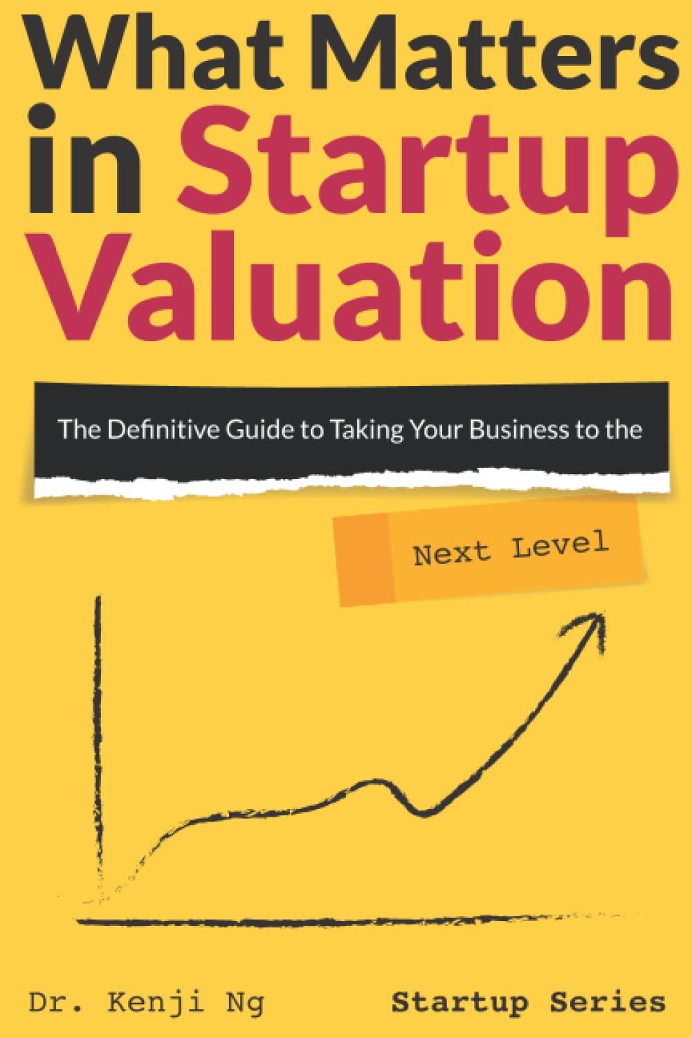 what matters in startup valuation the definitive guide to taking your business to the next level 1st edition