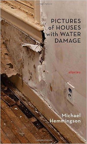 pictures of houses with water damage stories  michael hemmingson 0982520425, 978-0982520420