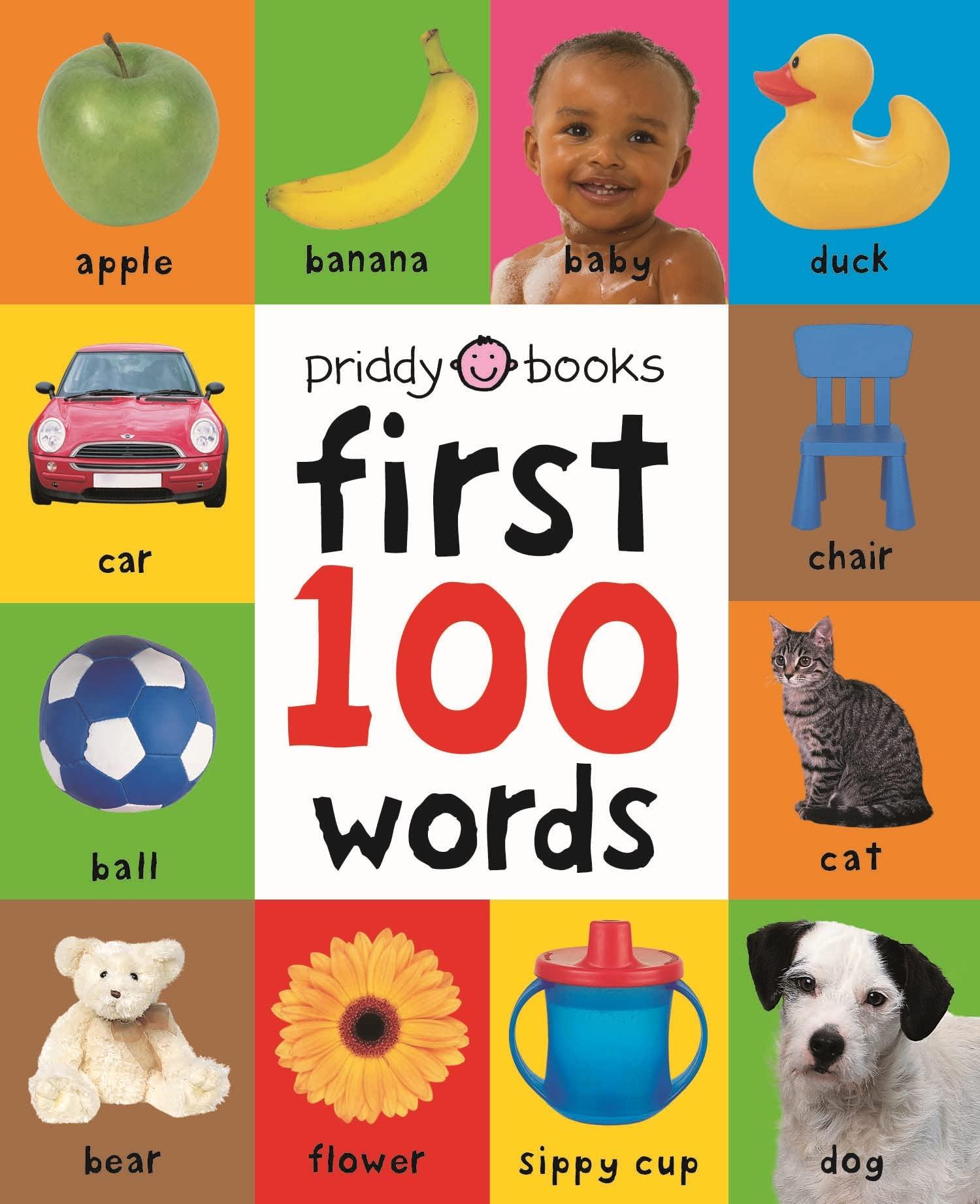 first 100 words a padded board book  roger priddy 0312510780, 978-0312510787