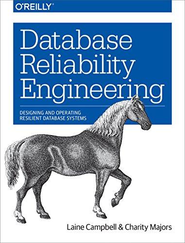 database reliability engineering designing and operating resilient database systems 1st edition laine