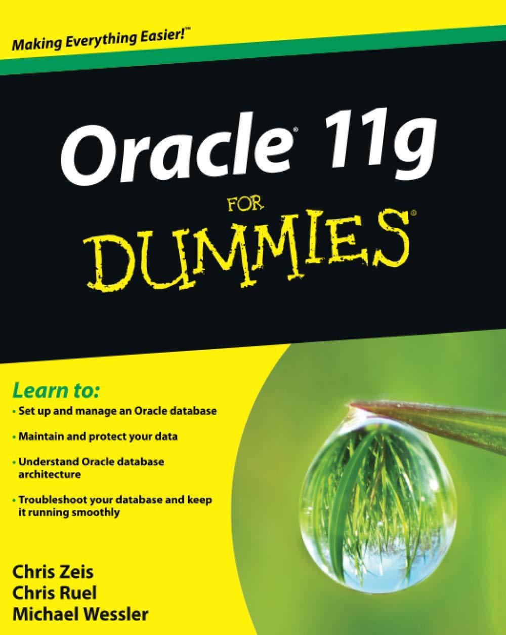 oracle 11g for dummies 1st edition chris zeis, chris ruel, michael wessler 0470277653, 978-0470277652