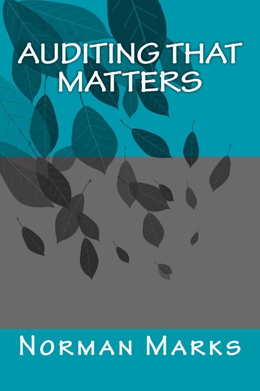 auditing that matters 1st edition norman d marks 1537662023, 978-1537662022