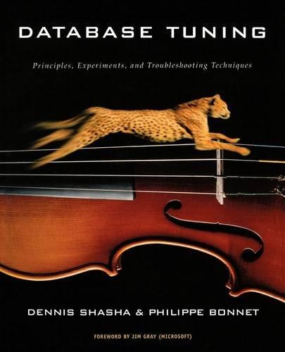 database tuning principles experiments and troubleshooting techniques 1st edition dennis shasha, philippe
