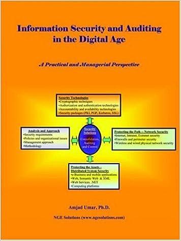 information security and auditing in the digital age 1st edition amjad umar 097274147x, 978-0972741477