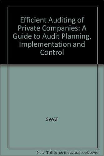 efficient auditing of private companies a guide to audit planning implementation and control 1st edition the