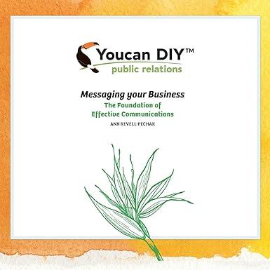 youcan diy public relations messaging your business the foundation of effective communications 1st edition