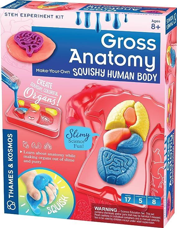 thames and kosmos gross anatomy squishy human body stem experiment kit  thames & kosmos b085lr7tg5