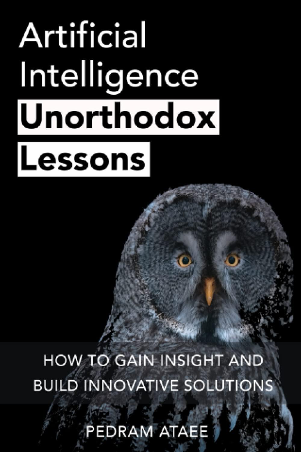artificial intelligence unorthodox lessons how to gain insight and build innovative solutions 1st edition