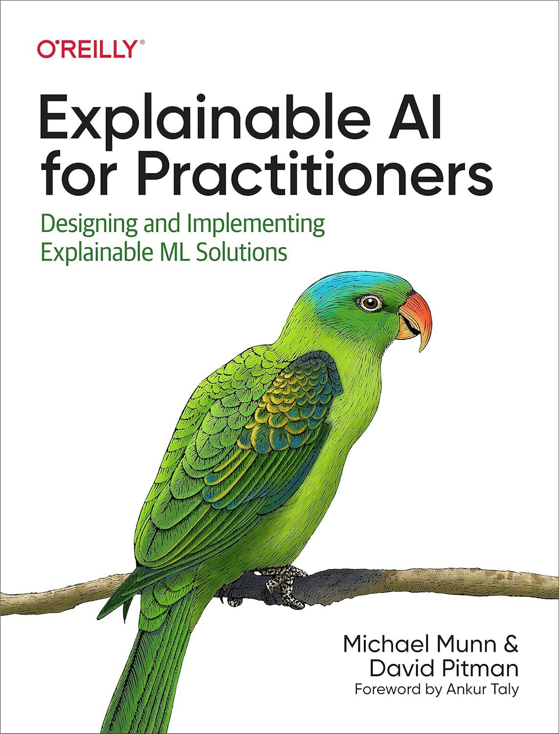 explainable ai for practitioners designing and implementing explainable ml solutions 1st edition michael munn