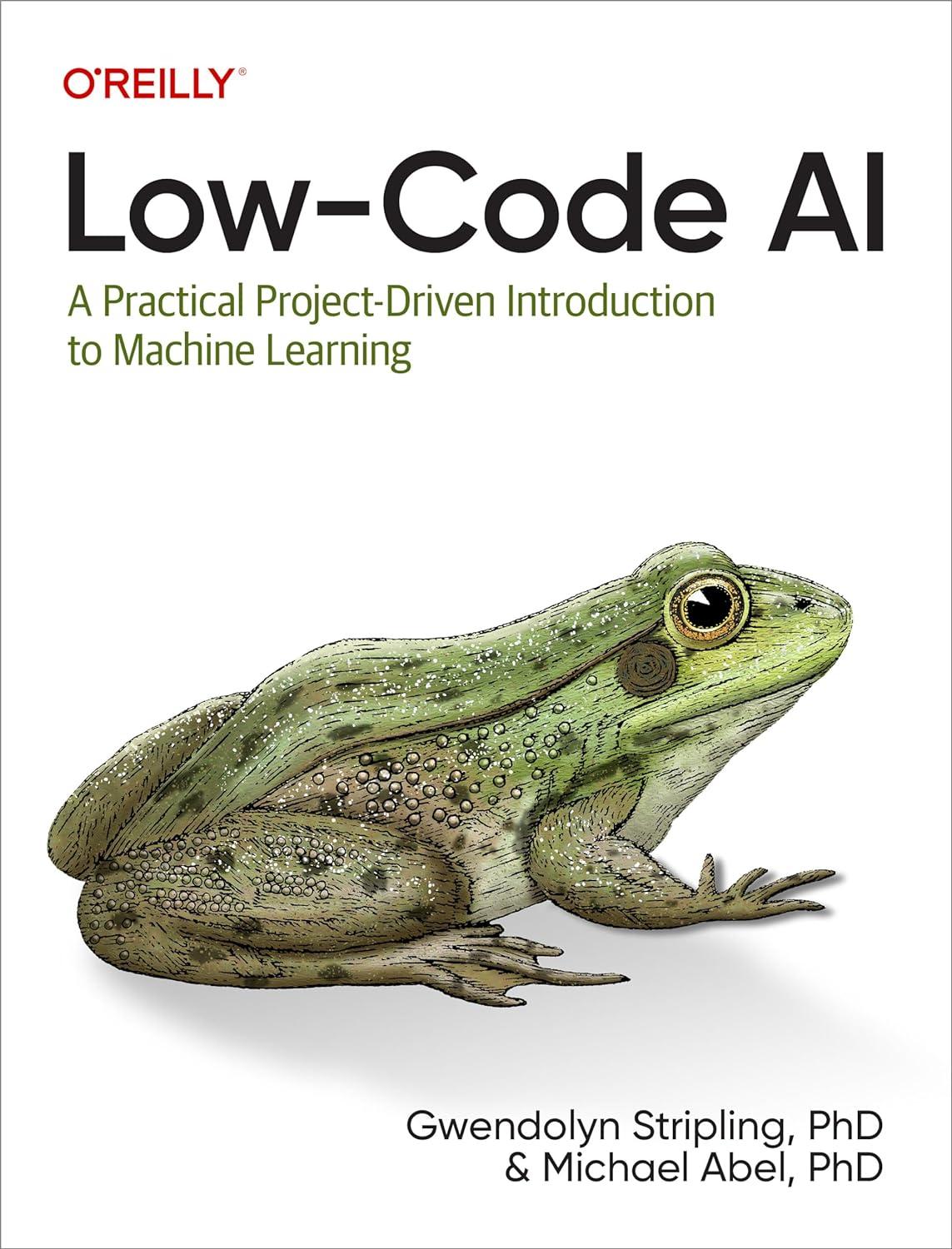 low code ai  a practical project driven introduction to machine learning 1st edition gwendolyn stripling ,