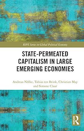 state permeated capitalism in large emerging economies 1st edition andreas nölke, tobias ten brink ,