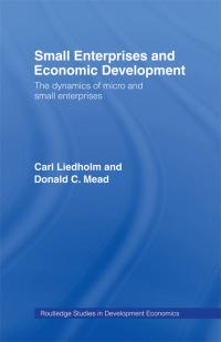 small enterprises and economic development the dynamics of micro and small enterprises 1st edition carl e.