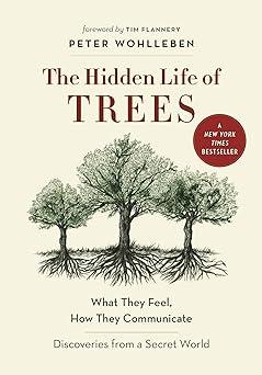 the hidden life of trees what they feel how they communicate 1st edition peter wohlleben, jane billinghurst,