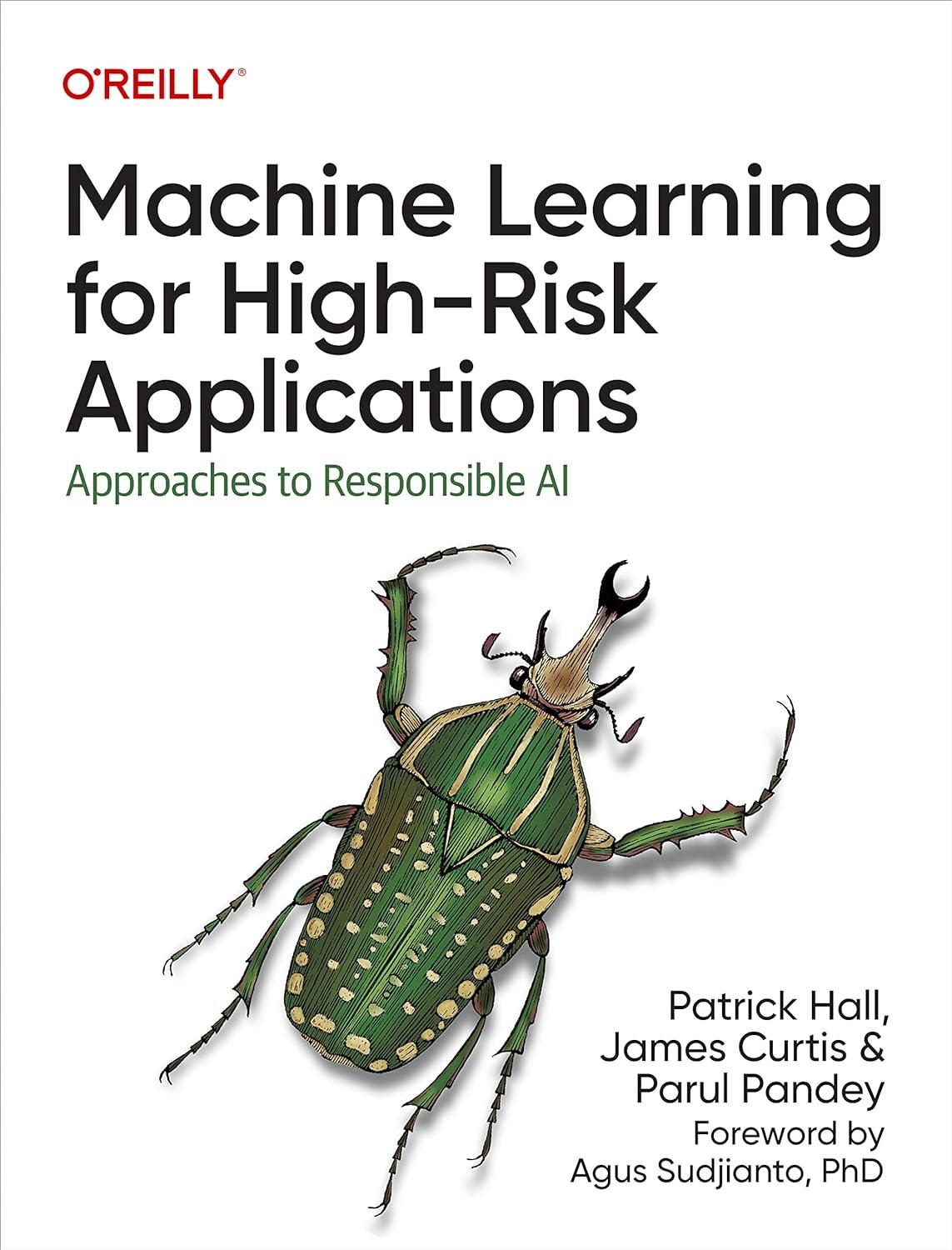 machine learning for high risk applications  approaches to responsible ai 1st edition patrick hall , james