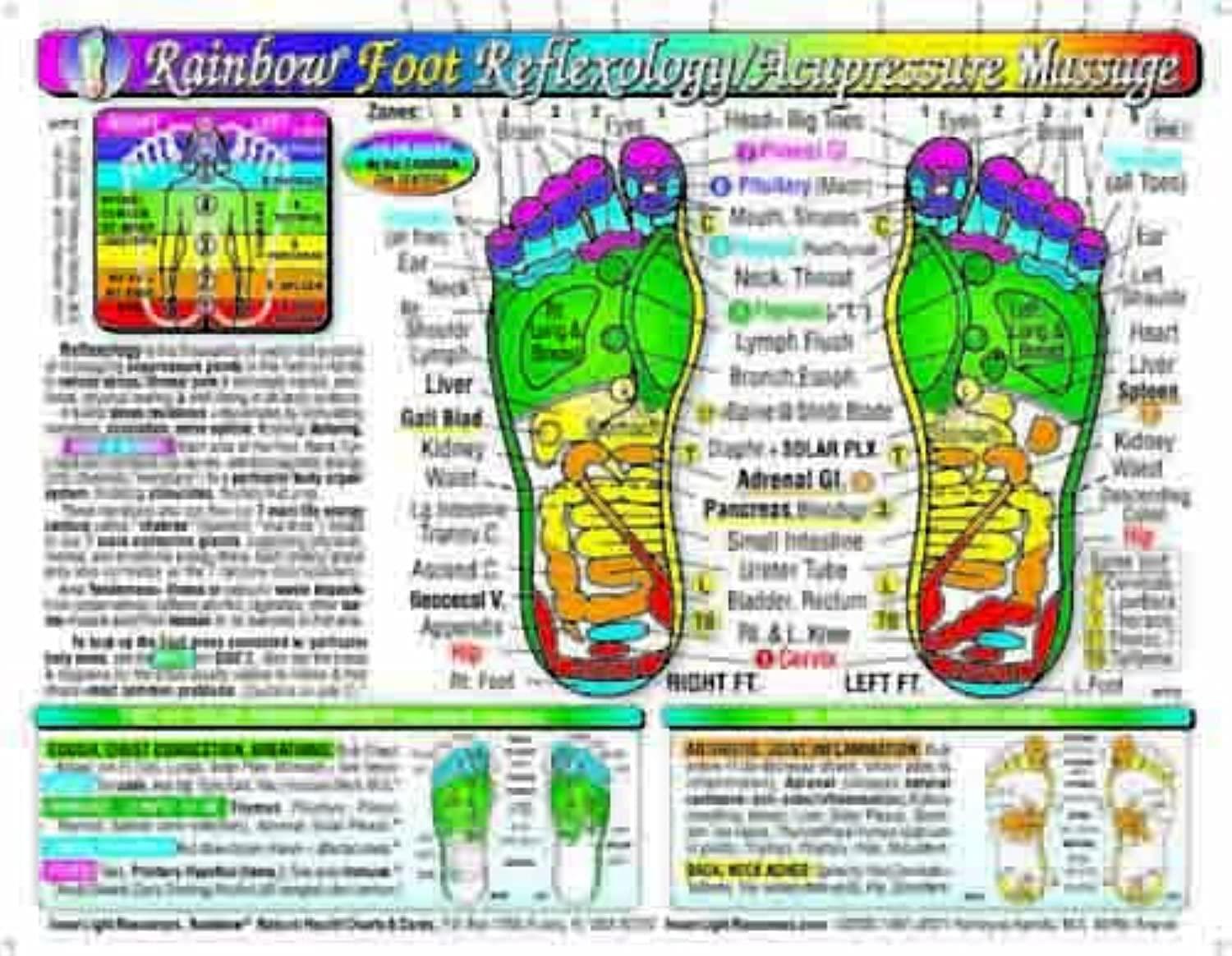 rainbow foot reflexology acupressure massage chart cards yshkeyna hamilla, jan zupcsics, yshheyna hamilla ma