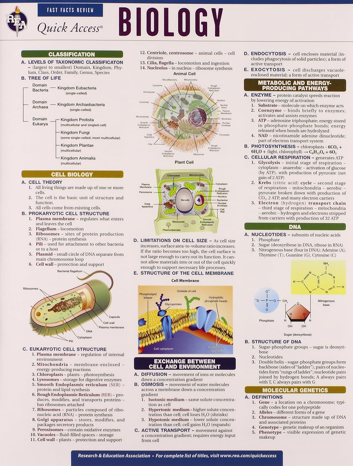 biology reas quick access reference chart  rea 0738607223, 9780738607221