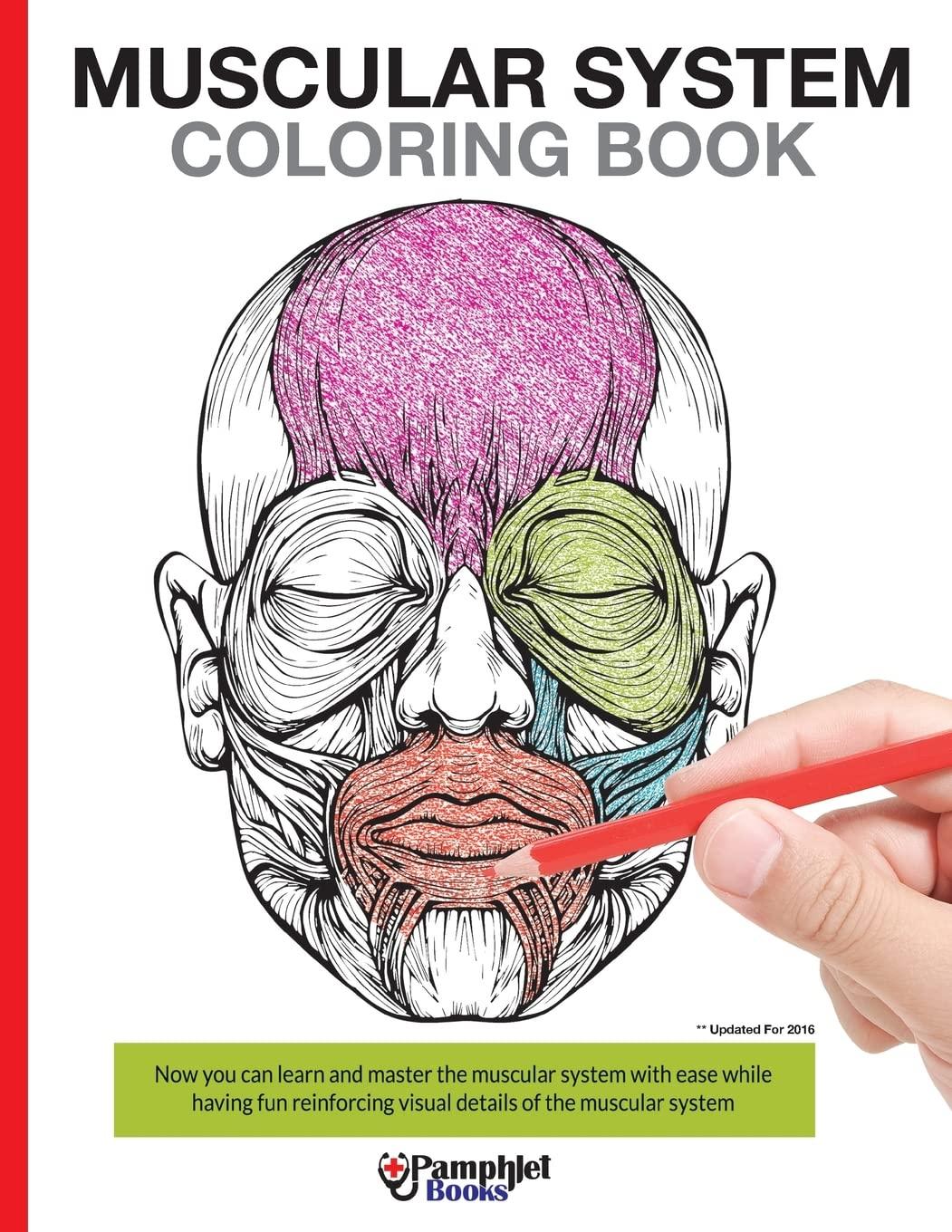muscular system coloring book 1st edition pamphlet books 1505699142, 978-1505699142