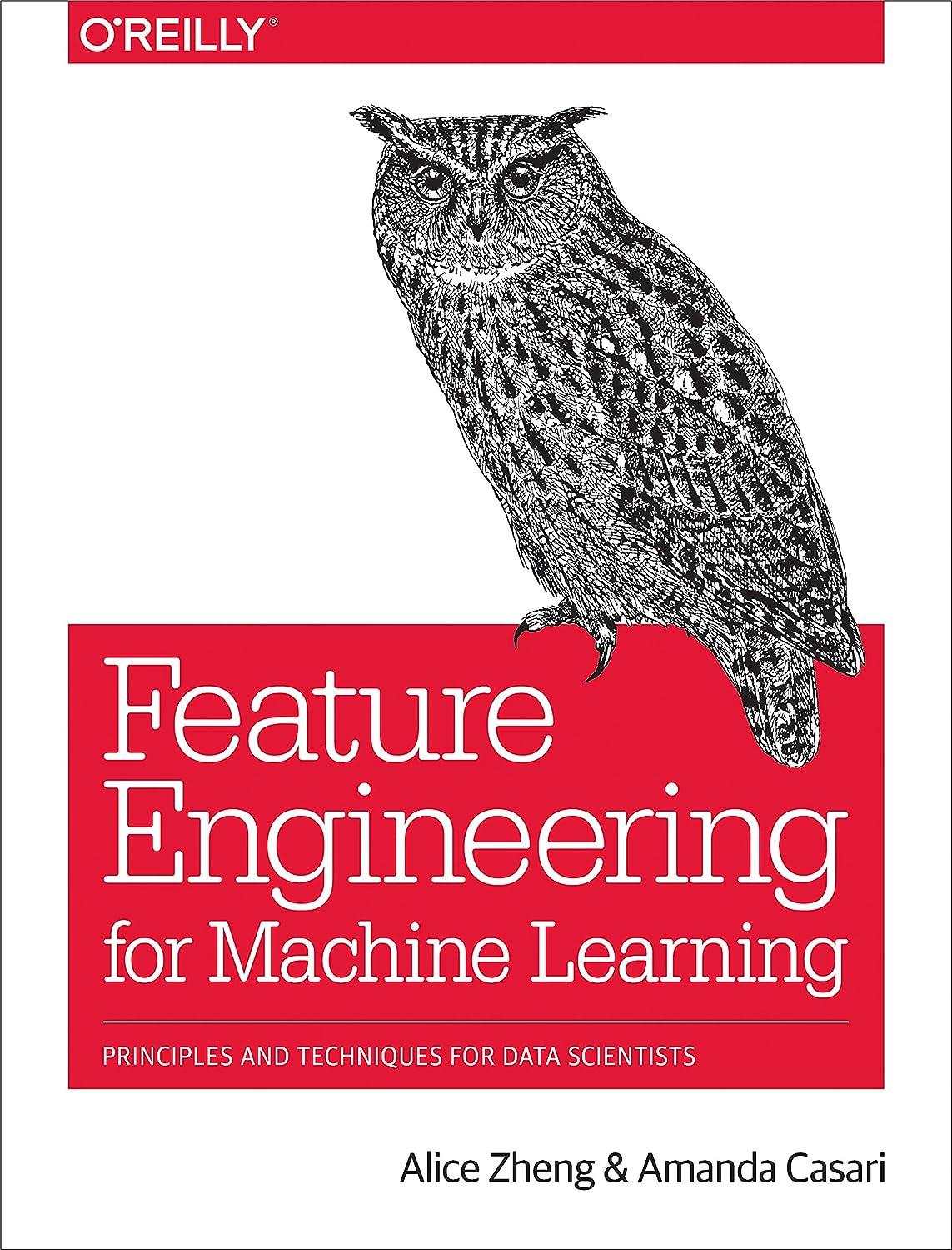 feature engineering for machine learning principles and techniques for data scientists 1st edition alice