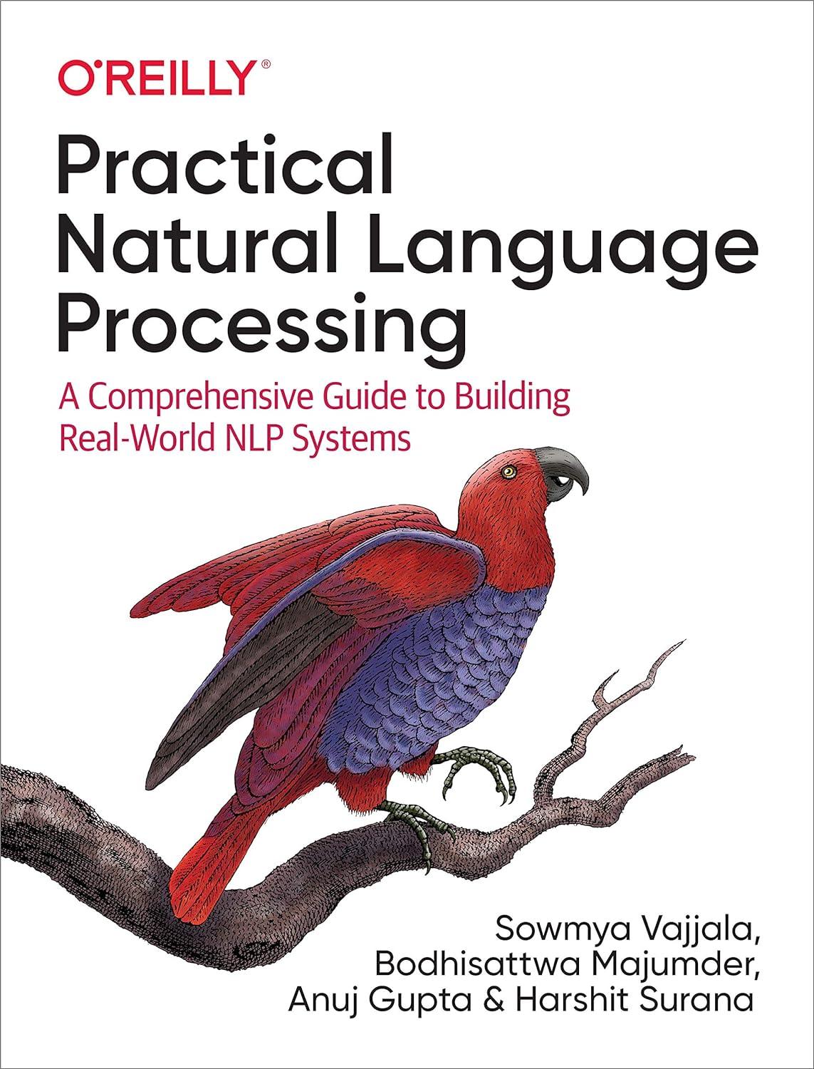 practical natural language processing a comprehensive guide to building real-world nlp systems 1st edition