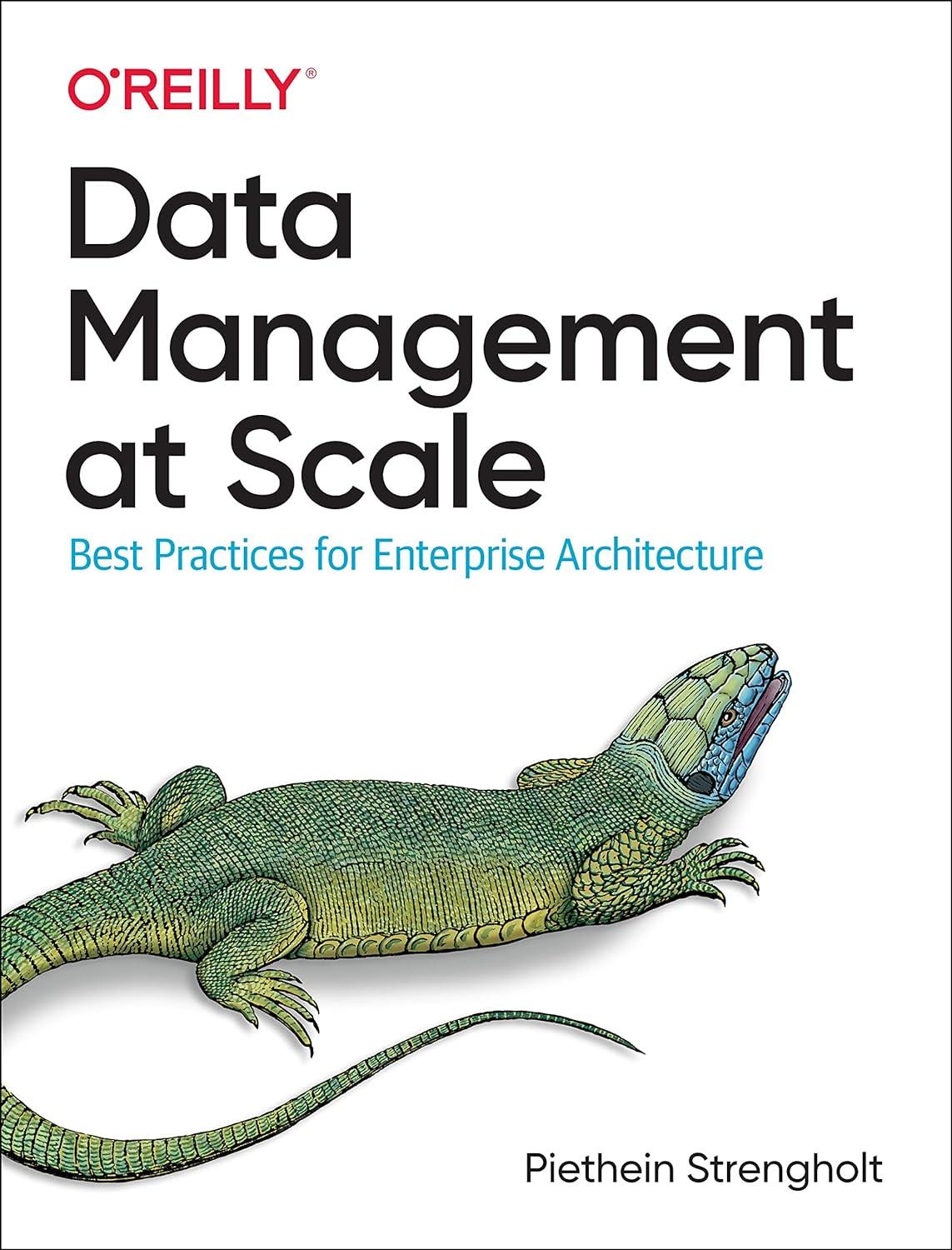 data management at scale best practices for enterprise architecture 1st edition piethein strengholt