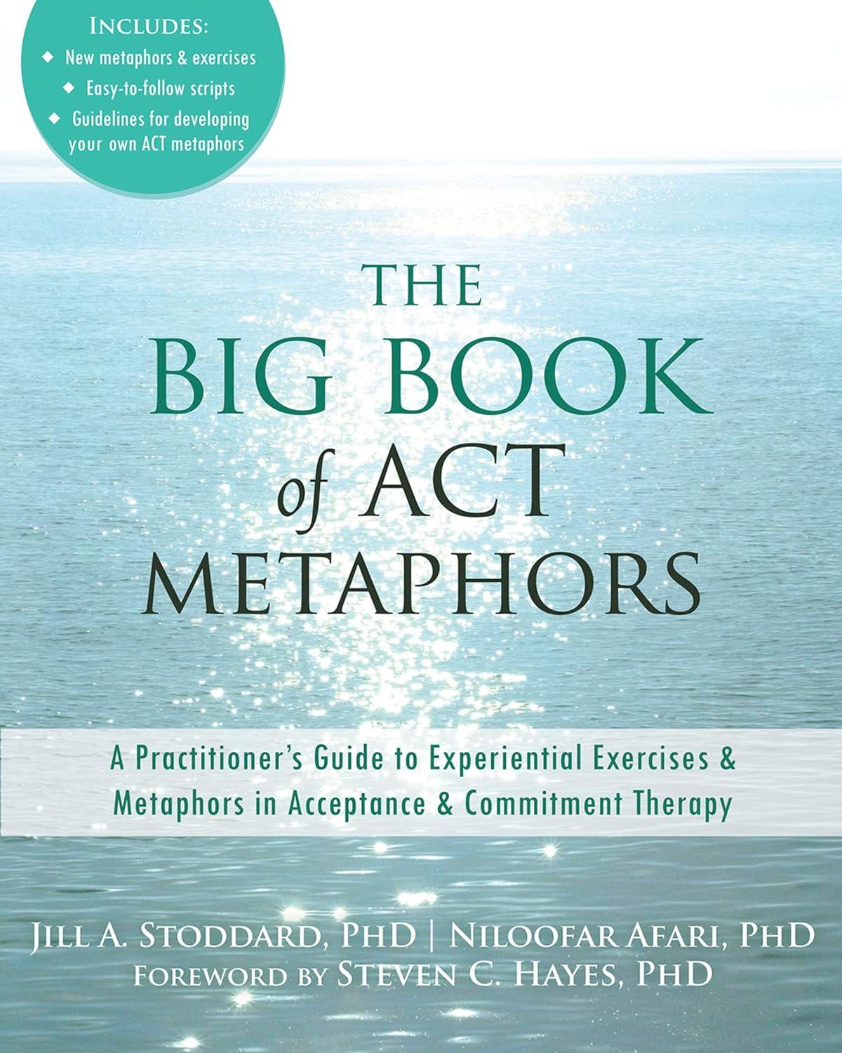 the big book of act metaphors a practitioner’s guide to experiential exercises and metaphors in acceptance