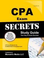 cpa exam secrets study guide 1st edition mometrix media, cpa exam secrets 1609714717, 978-1609714710