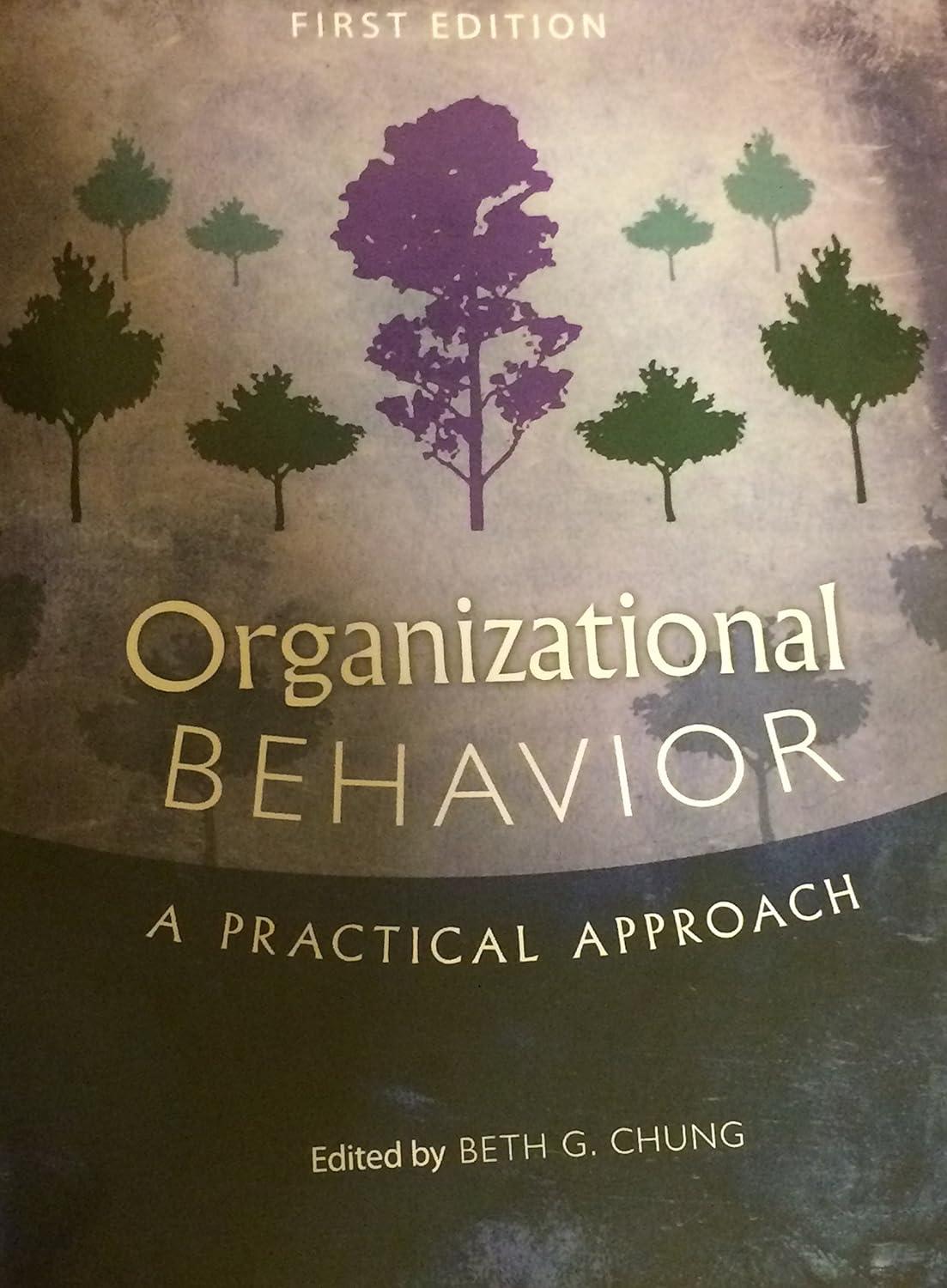 organizational behavior  a practical approach 1st edition beth g. chung 1609272196, 978-1609272197