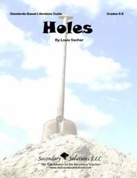 holes common core aligned literature guide 1st edition mary pat mahoney 0981624359, 9780981624358