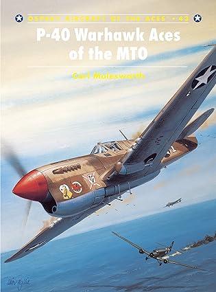 p 40 warhawk aces of the mto 1st edition carl molesworth, jim laurier 1841762881, 978-1841762883