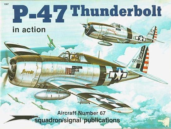p 47 thunderbolt in action 1st edition larry davis, kevin wornkey, don greer 089747161x, 978-0897471619