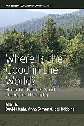 where is the good in the world ethical life between social theory and philosophy 1st edition david henig,